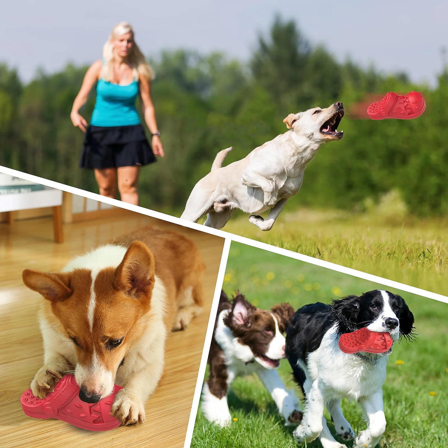 Squeaky Dog Toy Large Dog Chew Toys for Aggressive Chewers Rubber Dog Shoes Shape Toothbrush Toys